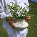 White Double-Handle Ceramic Vase